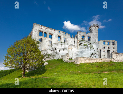 Ruinen einer Burg, Ogrodzieniec Befestigungsanlagen, Polen. Stockfoto