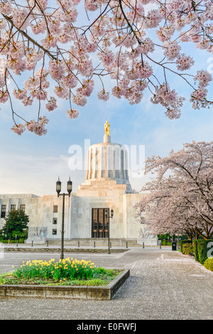 Das Oregon State Capitol Gebäude im Frühling mit Narzissen und Kirschbäume in voller Blüte. Stockfoto