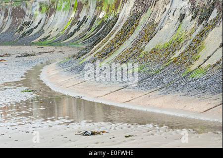 Teil der Ufermauer Verteidigung auf einem englischen Küste Strand mit Algen Algen wachsen Stockfoto