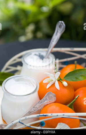 Obst Joghurt mit Löffel auf dunklen Metall Tisch im Garten, mit Mandarinen und rustikalen Serviertablett Stockfoto