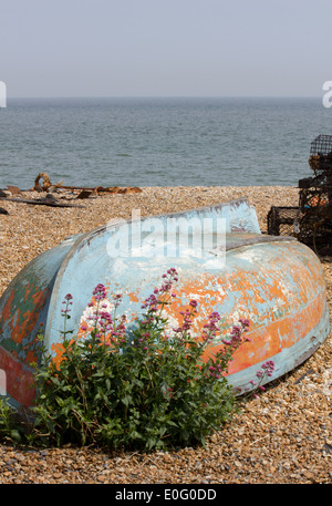 Umgedrehten Boot auf ein geschichtetes Strand mit einer blühenden Pflanze in den Vordergrund, Meer und Hummer Feldern im Hintergrund Stockfoto