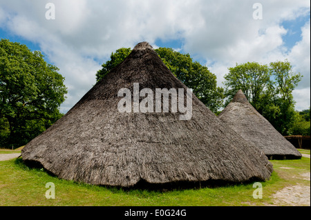 Castell Henllys Eisenzeit Dorf Wiederaufbau im Pembrokeshire Wales Stockfoto