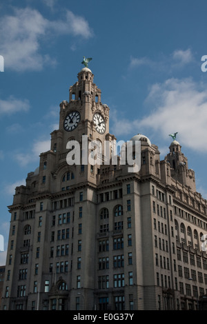 Royal Liver Building Liverpool Stockfoto