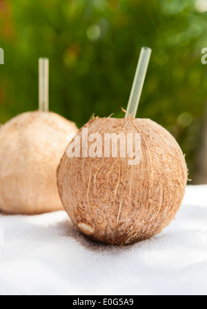 Kokosnuss-Wasser trinkt mit Palm-Baum-Hintergrund Stockfoto