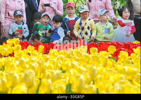 Changchun, China Jilin Provinz. 13. Mai 2014. Kinder sehen Tulpe Blumen in einem Park in Changchun, Hauptstadt des nordöstlichen Chinas Provinz Jilin, 13. Mai 2014. Bildnachweis: Zhang Nan/Xinhua/Alamy Live-Nachrichten Stockfoto