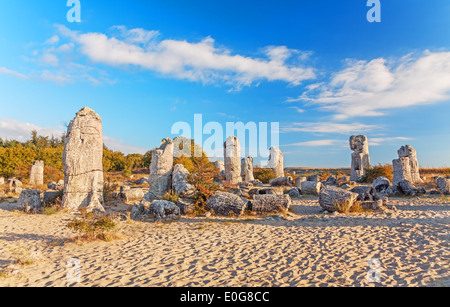 Einzigartiges geologisches Phänomen Pobiti Kamani (Steinwald) in Bulgarien. Stockfoto