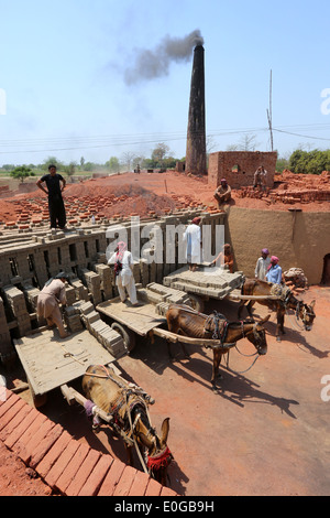 Esel Karren immer entladen der Ziegel in einer Ziegelei eine Ziegelei, Lahore, Punjab, Pakistan, Asien Stockfoto