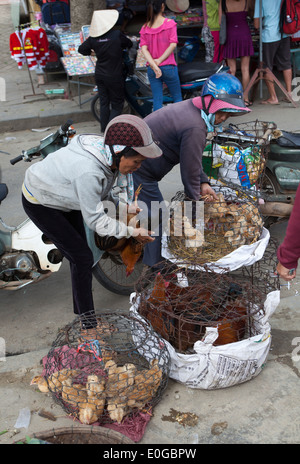 Im Käfig Vögel zum Verkauf auf Markt in der Altstadt Hoi an ein Stockfoto