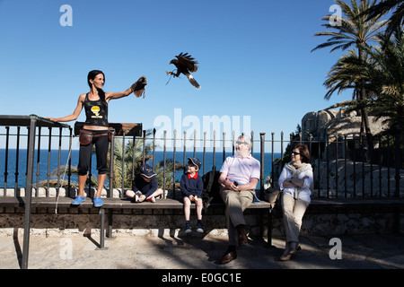 Falconer, Refugio de Rapaces, Peniscola, Valencia, Costa del Azahar, Provinz Castello, Spanien Stockfoto