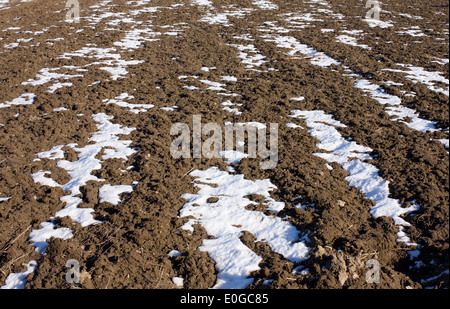 Gepflügtes Feld unter dem schmelzenden Schnee unter hellem Sonnenlicht im Frühjahr Stockfoto