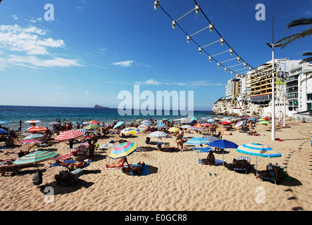 Strandleben, Hotel, Benidorm, Costa Blanca, Provinz Alicante, Spanien Stockfoto