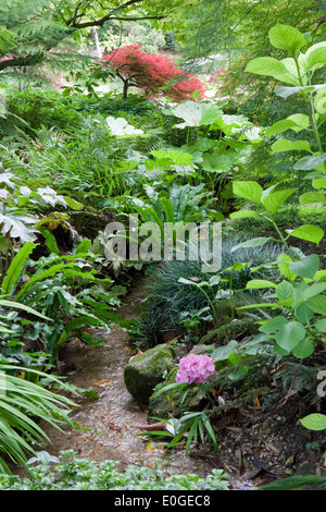 Kleiner Bach durch einen üppigen Teil des Andre Heller Garten Giardino Botanico, Gardone Riviera, Gardasee, Lombardei, es Stockfoto