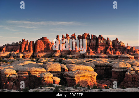 Felsen Türme in Chesler Park, Nadeln Bereich Canyonlands National Park, Moab, Utah, Südwesten, USA, Amerika Stockfoto