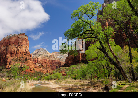 Blick auf Angel Landing und Virgin River, Zion Nationalpark, Utah, Südwesten, USA, Amerika Stockfoto