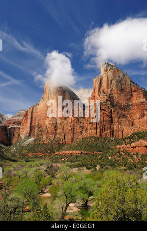 Blick auf den Hof des Patriarchen, Zion Nationalpark, Utah, Südwesten, USA, Amerika Stockfoto