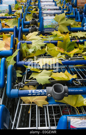 Tesco einkaufen Trolleys außerhalb UK Stockfoto