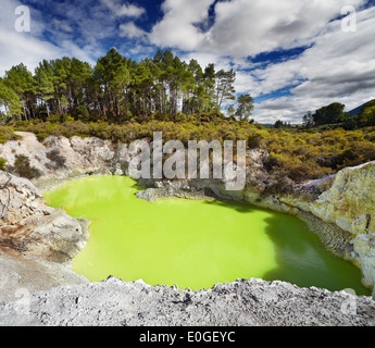 Des Teufels Bad Pool im Waiotapu Thermal Reserve, Rotorua, Neuseeland Stockfoto