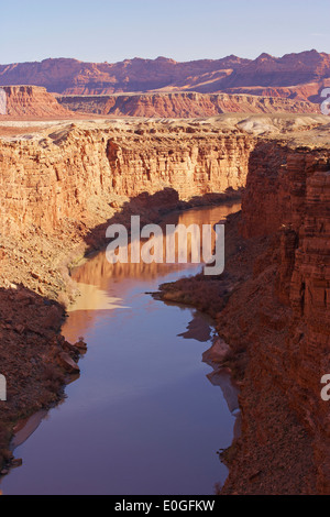 Blick auf den Colorado River, Marble Canyon, Vermilion Cliffs, Arizona, USA, Amerika Stockfoto