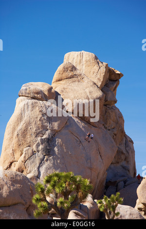 Kletterer an einem Felsen im Hidden Valley im Joshua Tree National Park, Mojave-Wüste, Kalifornien, USA, Amerika Stockfoto