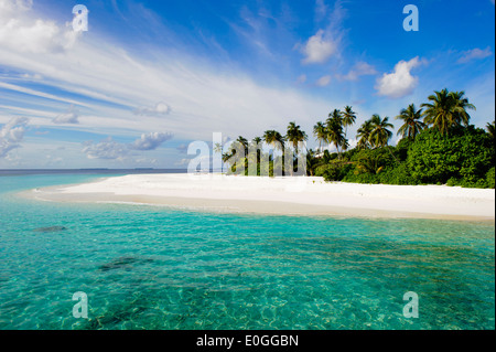 Strand mit Palmen in der Sonne, Park Hyatt Maldives Hadahaa, Gaafu Alifu Atoll, Nord-Huvadhoo-Atoll, Malediven Stockfoto