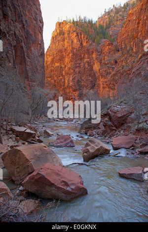 Blick in den Zion Canyon, Riverside Walk, Zion Nationalpark, Utah, USA, Amerika Stockfoto