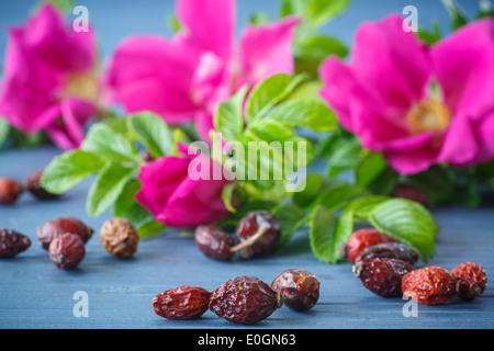 Hagebutten Tee mit Früchten und Blumen in einer Teekanne auf dem Tisch Stockfoto