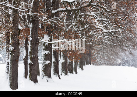 Gasse im Winter, Kottmueller Gasse, Murnau, Upper Bavaria, Bavaria, Germany Stockfoto