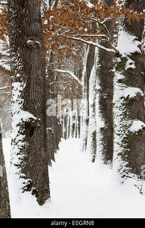 Gasse im Winter, Kottmueller Gasse, Murnau, Upper Bavaria, Bavaria, Germany Stockfoto