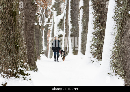 Frau mit Hund, Gasse im Winter, Kottmueller Gasse, Murnau, Upper Bavaria, Bavaria, Germany Stockfoto