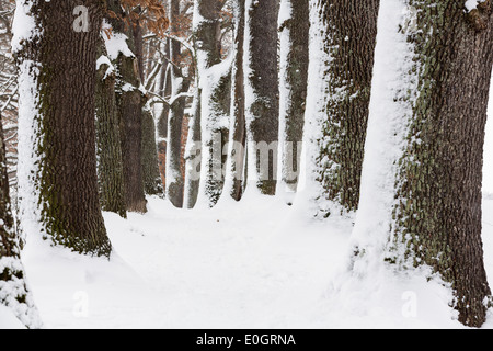 Gasse im Winter, Murnau, Upper Bavaria, Bavaria, Germany Stockfoto