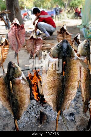 (140513)--Peking, 13. Mai 2014 (Xinhua)--Foto aufgenommen am 19. Oktober 2011 zeigt gegrillter Fisch in Zepu County, Nordwesten Chinas Xinjiang Uygur Autonome Region.   Eines der beliebtesten Arten weltweit, chinesisches Essen ist berühmt für seinen Geschmack und Sorte, mit einer unvergleichlichen Auswahl an Essen Stile und Techniken, Zutaten und Gerichte. Die Geschichte des chinesischen Essens erstreckt sich über Tausende von Jahren zurück und hat sich geändert von Zeit zur Zeit und in jeder Region je nach Klima, Tradition und lokale Präferenzen. Chinesen sind stolz auf eine breite Vielzahl der Nahrungsmittel zu essen, während die verbleibenden wahr Stockfoto