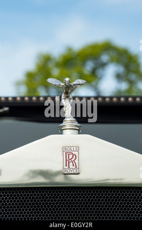 Rolls-Royce, Spirit of Ecstasy, der Kühlerfigur auf dieser klassischen britischen Oldtimer Stockfoto