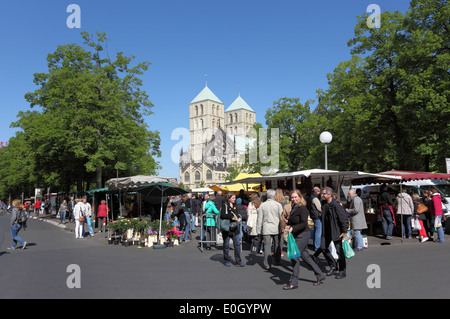 Bauernmarkt in der alten Stadt Münster. North Rhine-Westphalia, Germany Stockfoto