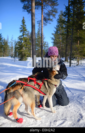 Junge Frau erhält der Liebe von freundlichen Hunde. Wüste husky Hundeschlitten taiga Tour mit bearhillhusky in Rovaniemi, Lappland Stockfoto