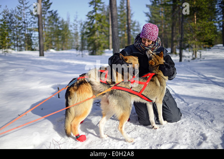 Junge Frau erhält der Liebe von freundlichen Hunde. Wüste husky Hundeschlitten taiga Tour mit bearhillhusky in Rovaniemi, Lappland Stockfoto