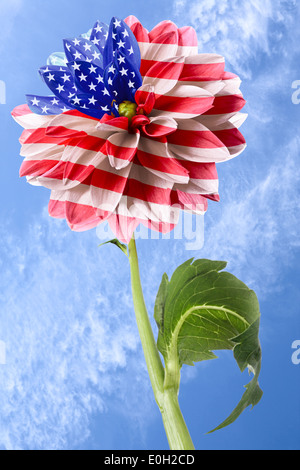 USA-Flagge in der Größenordnung von Blume auf einem Hintergrund des blauen Himmels Stockfoto