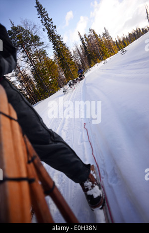 Junge Frau fahren Schlitten. Wüste husky Hundeschlitten taiga Tour mit bearhillhusky in Rovaniemi, Lappland, Finnland Stockfoto