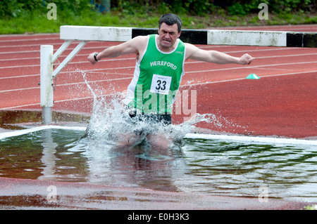 Leichtathletik, Männer Hindernislauf auf Vereinsebene, UK Stockfoto