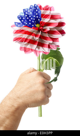 Hand mit USA-Flagge in der Größenordnung von Blume. Isoliert auf einem weißen Stockfoto