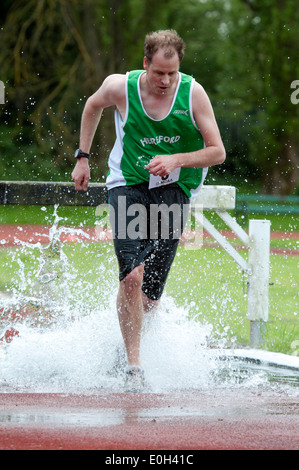 Leichtathletik, Männer Hindernislauf auf Vereinsebene, UK Stockfoto