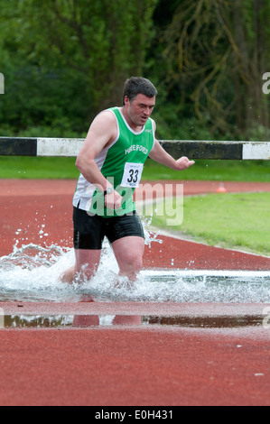 Leichtathletik, Männer Hindernislauf auf Vereinsebene, UK Stockfoto