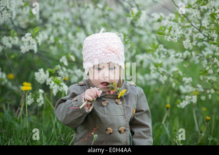 kleines Mädchen mit Down-Syndrom im Mund zieht Löwenzahn Stockfoto