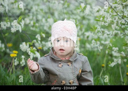 lustiges Mädchen mit Down-Syndrom im Mund zieht Löwenzahn Stockfoto