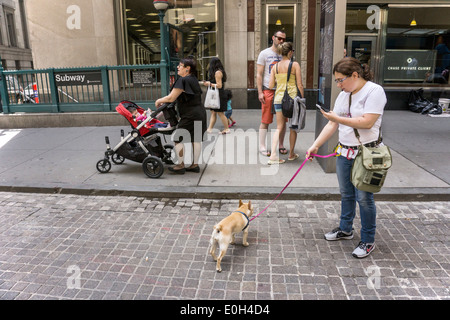 Mädchen zu Fuß Hund an der Wall Street in lower Manhattan, wo diverse Passanten durch touristische paar & Frau schieben Kinderwagen gehören Stockfoto