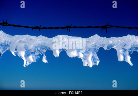 Eis gefroren auf Stacheldraht Stockfoto