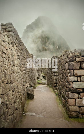 Wayna Picchu und Inka Mauern umgeben von Nebel, Machu Picchu, Cusco, Cuzco, Peru, Anden, Südamerika Stockfoto