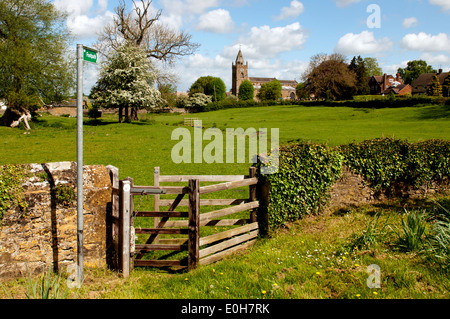 Blick über Hl. Kreuz Kirche, Milton Malsor, Northamptonshire, England, Vereinigtes Königreich Stockfoto