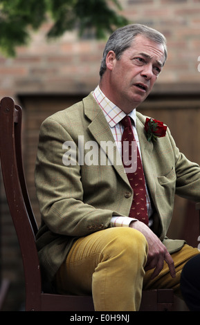 Führer der UKIP Party Nigel Farage MEP in Black Bull Pub, yarn, Cleveland, Großbritannien. Stockfoto