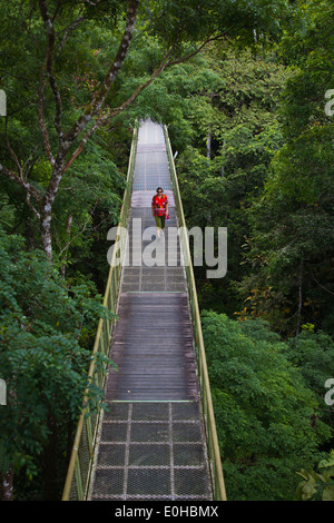 Die 90 Fuß befindet sich hohe CAN0PY Gehweg im RAINFOREST DISCOVERY CENTER in KABILI SEPILOK FOREST - BORNEO Stockfoto