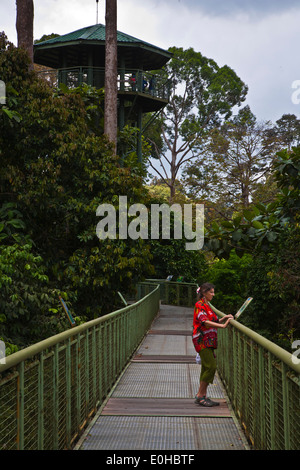 Anzeigen von Türmen oben Fuß 90 hohe CANOPY WALKWAY im KABILI SEPILOK FOREST - BORNEO RAINFOREST DISCOVERY Center Stockfoto